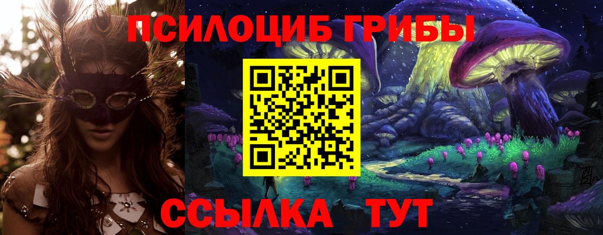 Балашиха  сколько стоит  Вход с VPN  Псилоцибиновые грибы мухоморы 