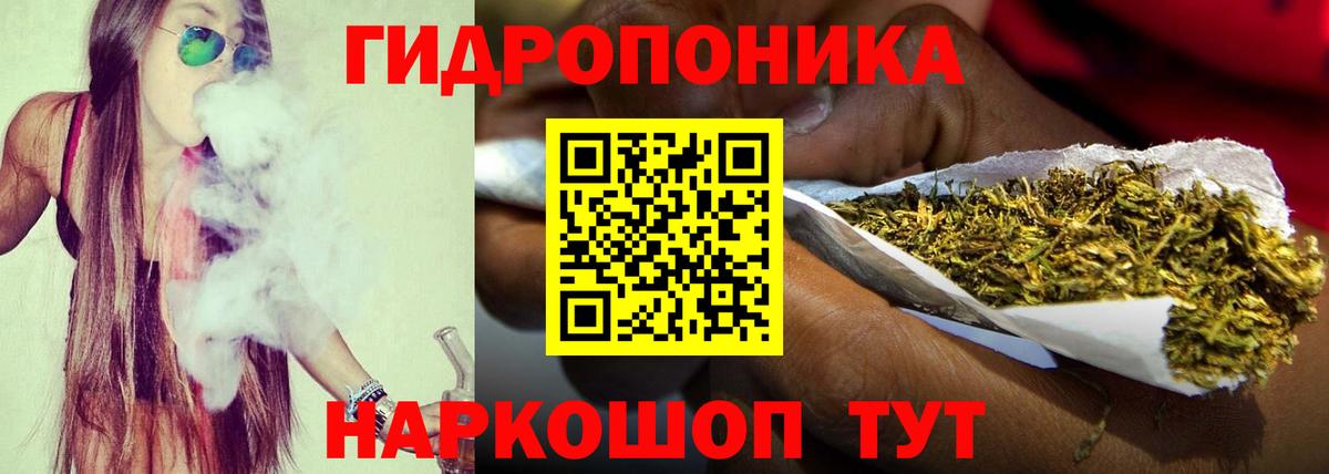 Каннабис VHQ  Марихуана план  Бошки Шишки THC 21%  Балашиха  Вход с VPN 
